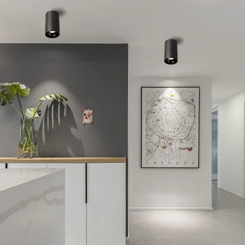 Belmunda Black & White Surface Mounted Downlight