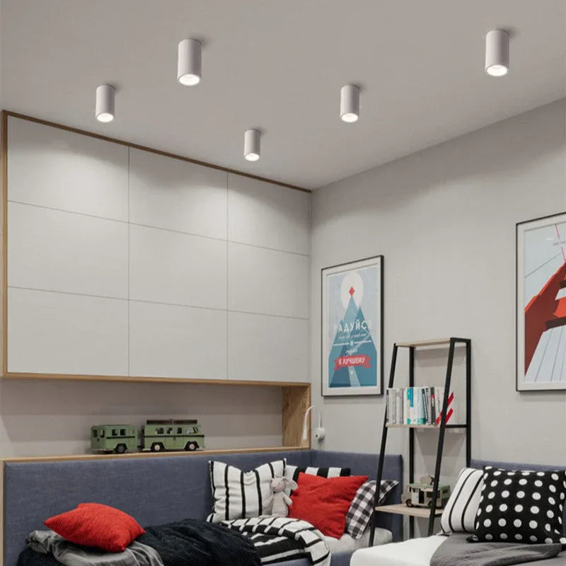 Belmunda Black & White Surface Mounted Downlight
