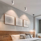 Belmunda Black & White Surface Mounted Downlight