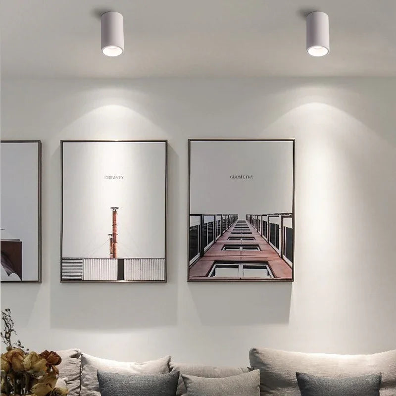 Belmunda Black & White Surface Mounted Downlight