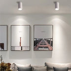 Belmunda Black & White Surface Mounted Downlight