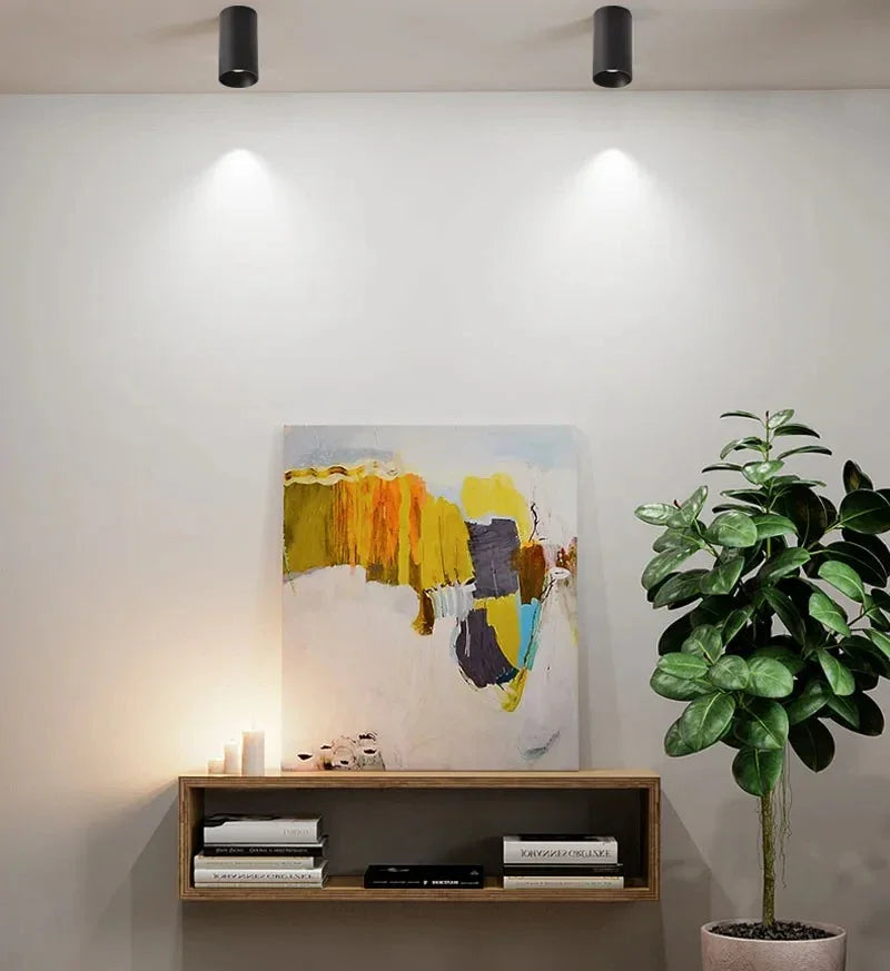 Belmunda Black & White Surface Mounted Downlight
