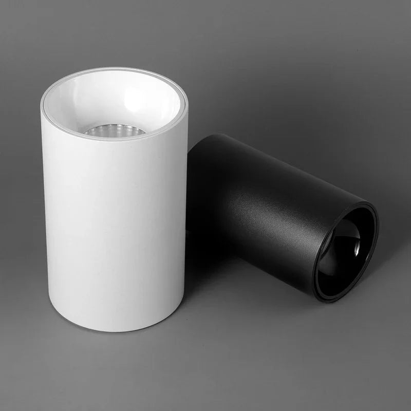 Belmunda Black & White Surface Mounted Downlight