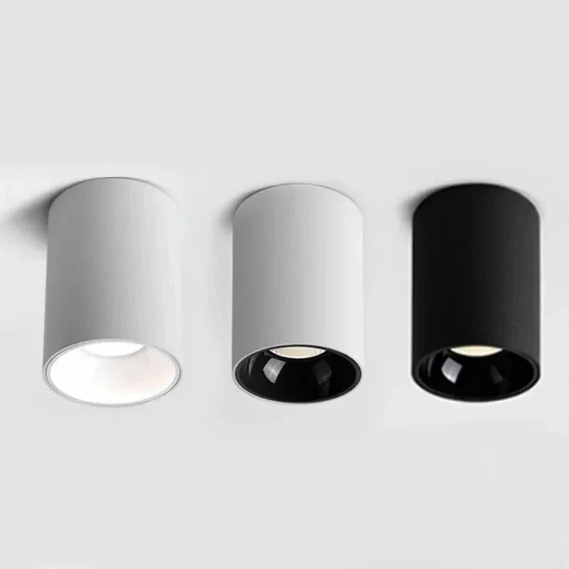Belmunda Black & White Surface Mounted Downlight