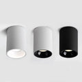 Belmunda Black & White Surface Mounted Downlight