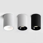 Belmunda Black & White Surface Mounted Downlight