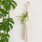 Bohemian Plant Holder | Kelmera