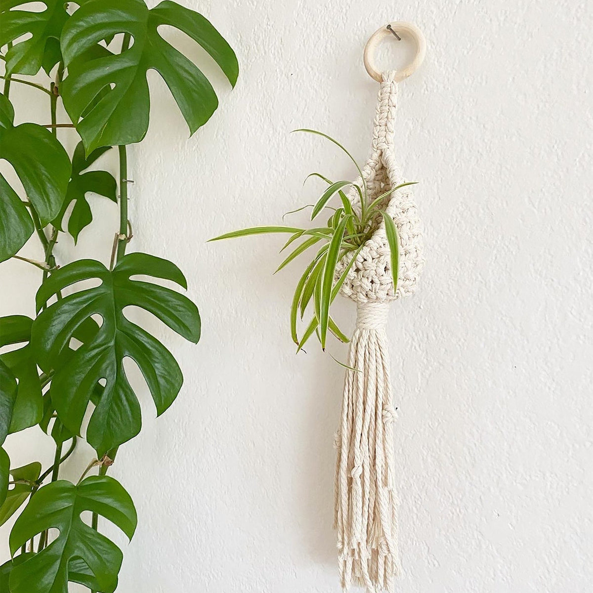 Bohemian Plant Holder | Kelmera