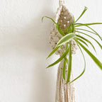 Bohemian Plant Holder | Kelmera