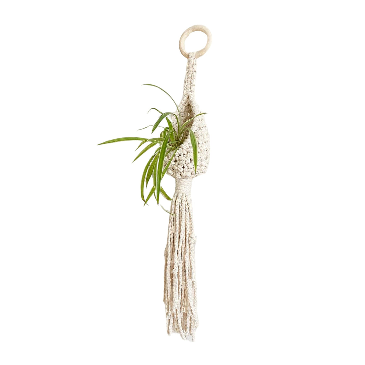 Bohemian Plant Holder | Kelmera