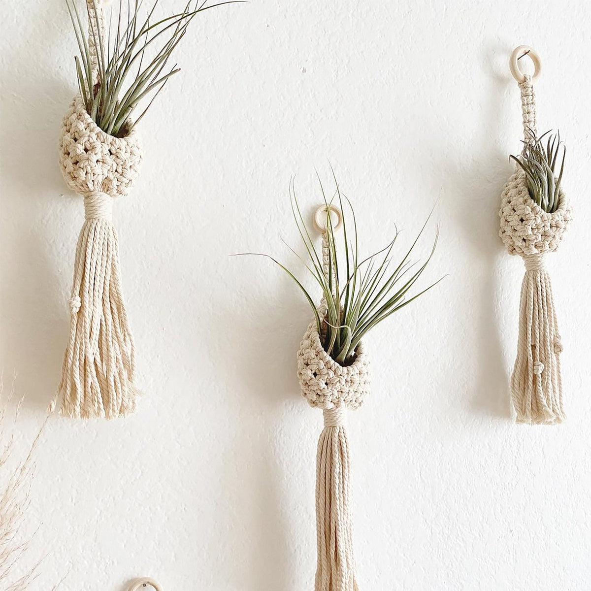 Bohemian Plant Holder | Kelmera