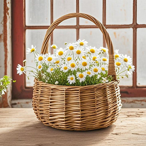 Braided Basket with Practical Handle | Kelmera