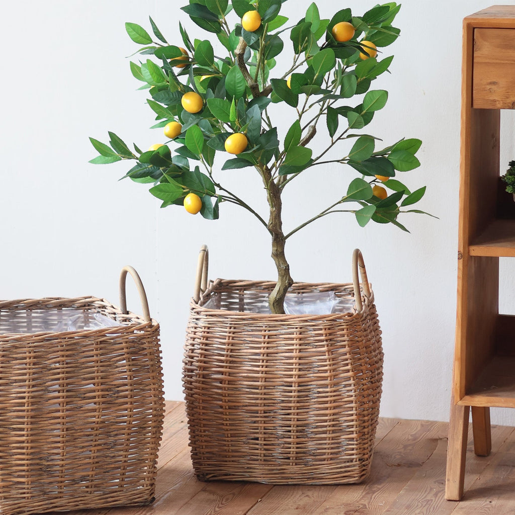 Braided Storage Basket | Kelmera