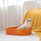 Cat Basket with Creative Design | Kelmera