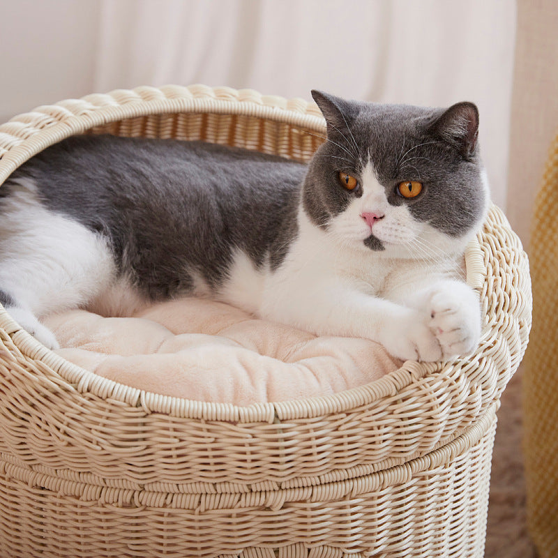 Cat Bed Model Owgc | Kelmera
