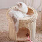 Cat Bed Model Owgc | Kelmera