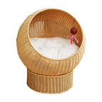 Cat Bed with Modern Design | Kelmera