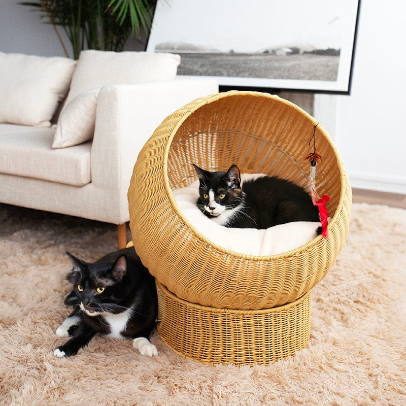 Cat Bed with Modern Design | Kelmera