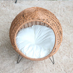 Cat Bed with Stylish Rattan Design | Kelmera