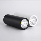 Clovemere Black LED Surface Mounted Downlight