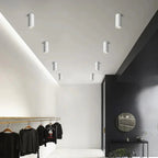 Clovemere White LED Surface Mounted Downlight
