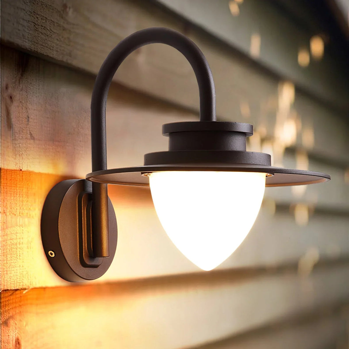 Clyvvia Outdoor Wall Light