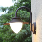Clyvvia Outdoor Wall Light