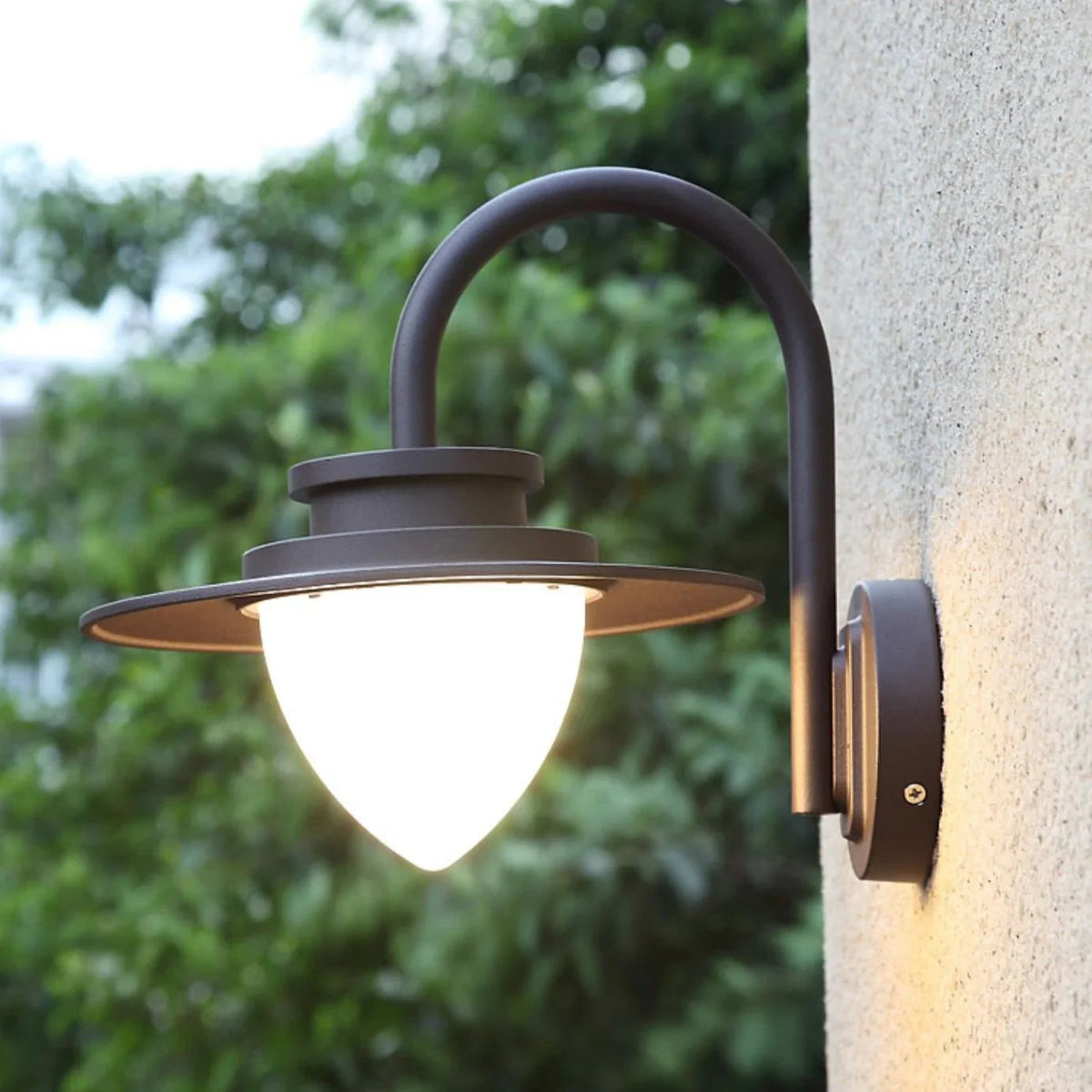 Clyvvia Outdoor Wall Light