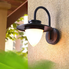 Clyvvia Outdoor Wall Light