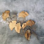 Contemporary Ginkgo Leaf Wall Sculpture | Kelmera