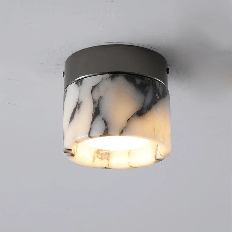 Corsova Downlight