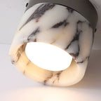 Corsova Downlight