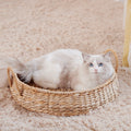 Cozy Cat Bed | Kelmera