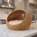 Cozy Sofa Chairs | Kelmera