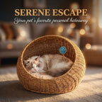 Cozy Sofa Chairs | Kelmera