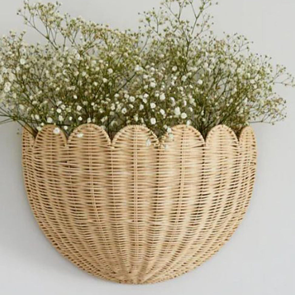 Creative and Decorative Storage Basket in Shell Design | Kelmera