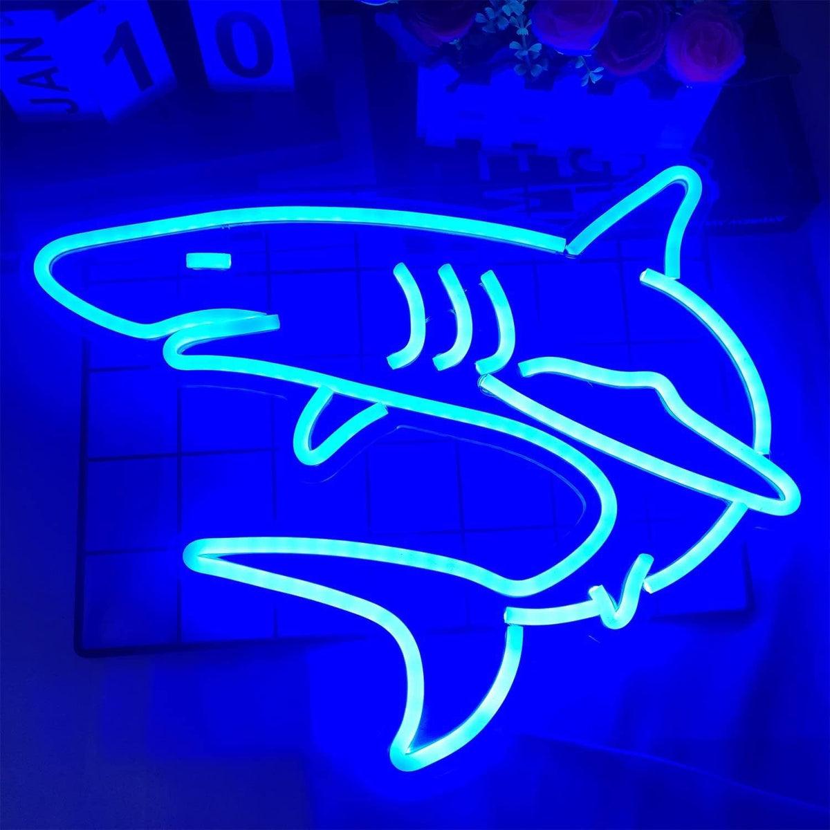 Cute Cartoon Mushroom Neon LED Wall Light with Acrylic Back | Kelmera