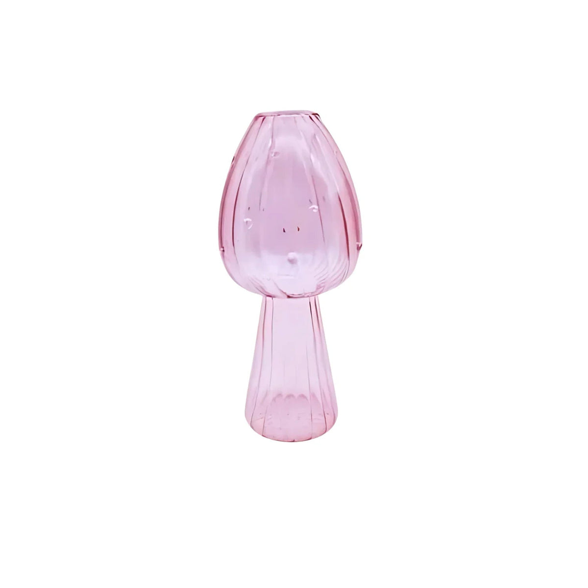 Dalbyra Vase Collection - Set of 5