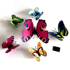 Decorative 3D Butterflies | Kelmera