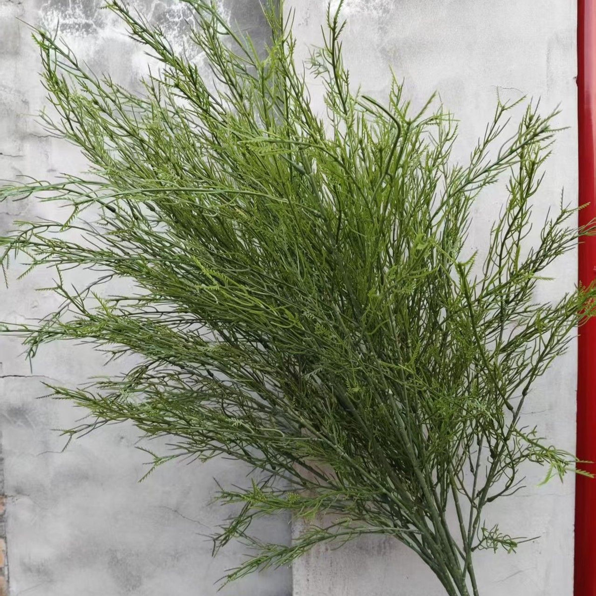 Decorative Art Branch with Fine Leaves | Kelmera