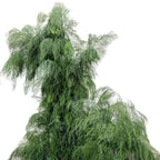 Decorative Art Branch with Fine Leaves | Kelmera