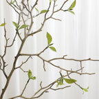 Decorative Art Branch with Natural Leaves | Kelmera