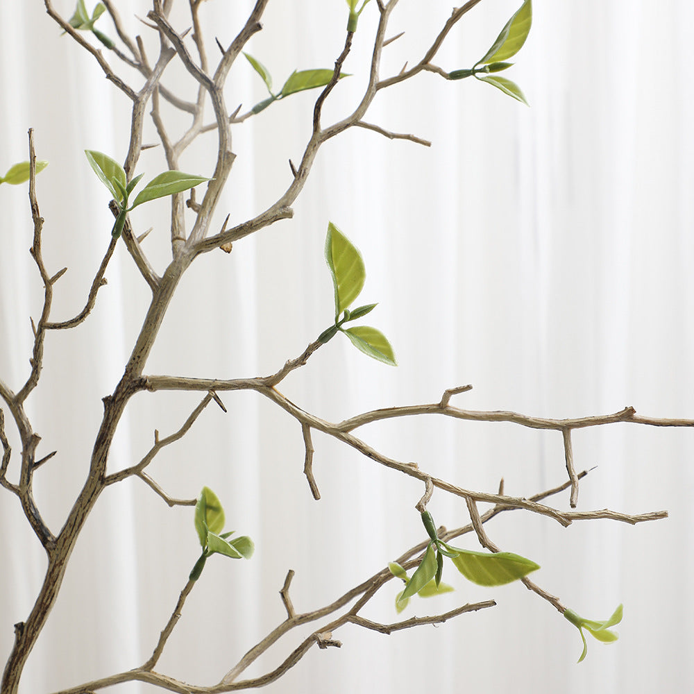 Decorative Art Branch with Natural Leaves | Kelmera