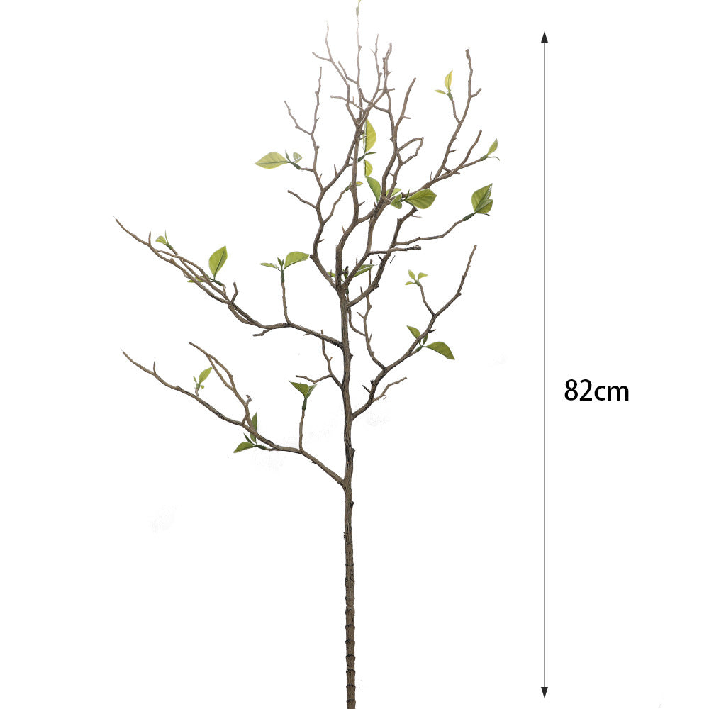 Decorative Art Branch with Natural Leaves | Kelmera