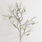 Decorative Art Branch with Natural Leaves | Kelmera