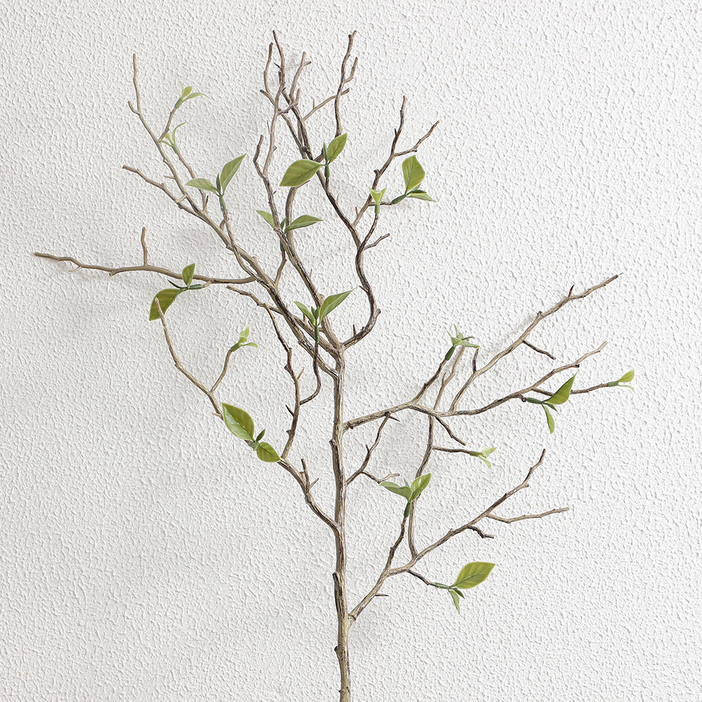 Decorative Art Branch with Natural Leaves | Kelmera