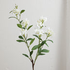 Decorative Art Branch with White Flowers | Kelmera