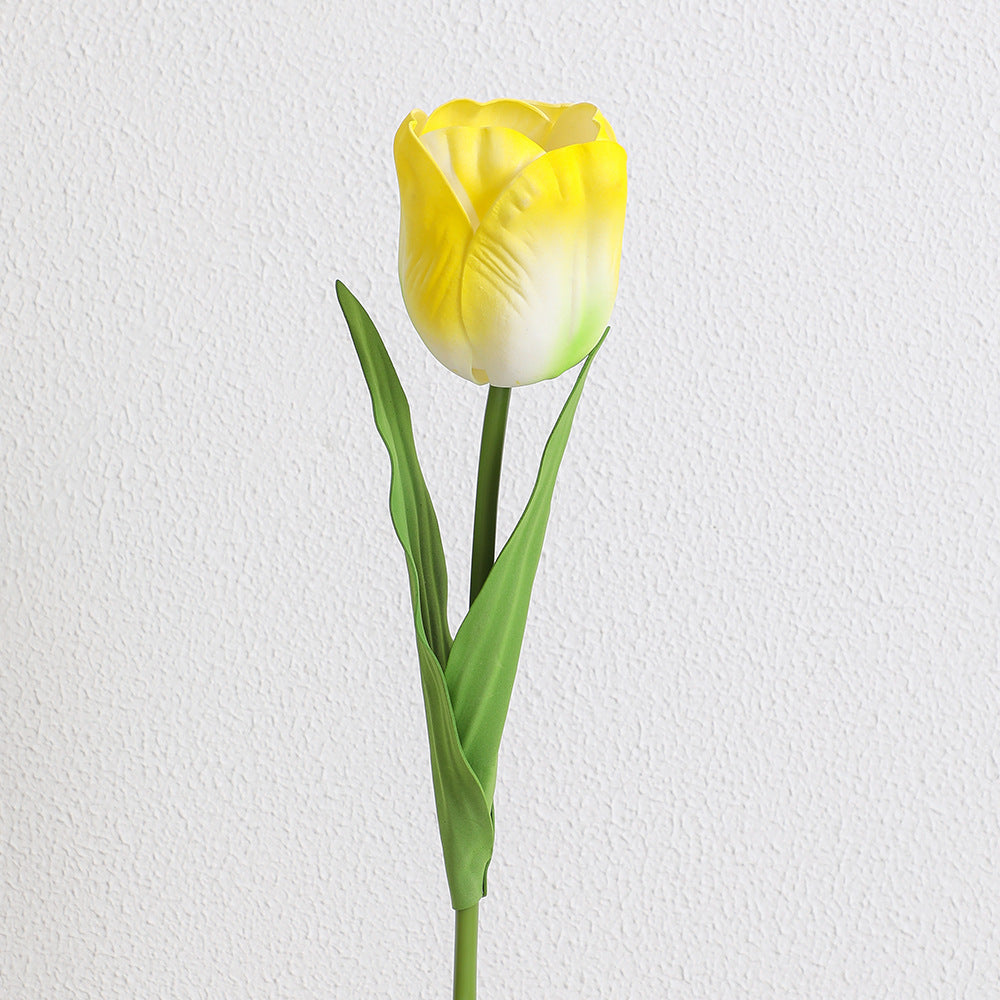 Decorative Art Tulip | Kelmera