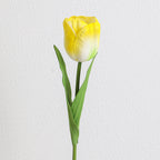 Decorative Art Tulip | Kelmera
