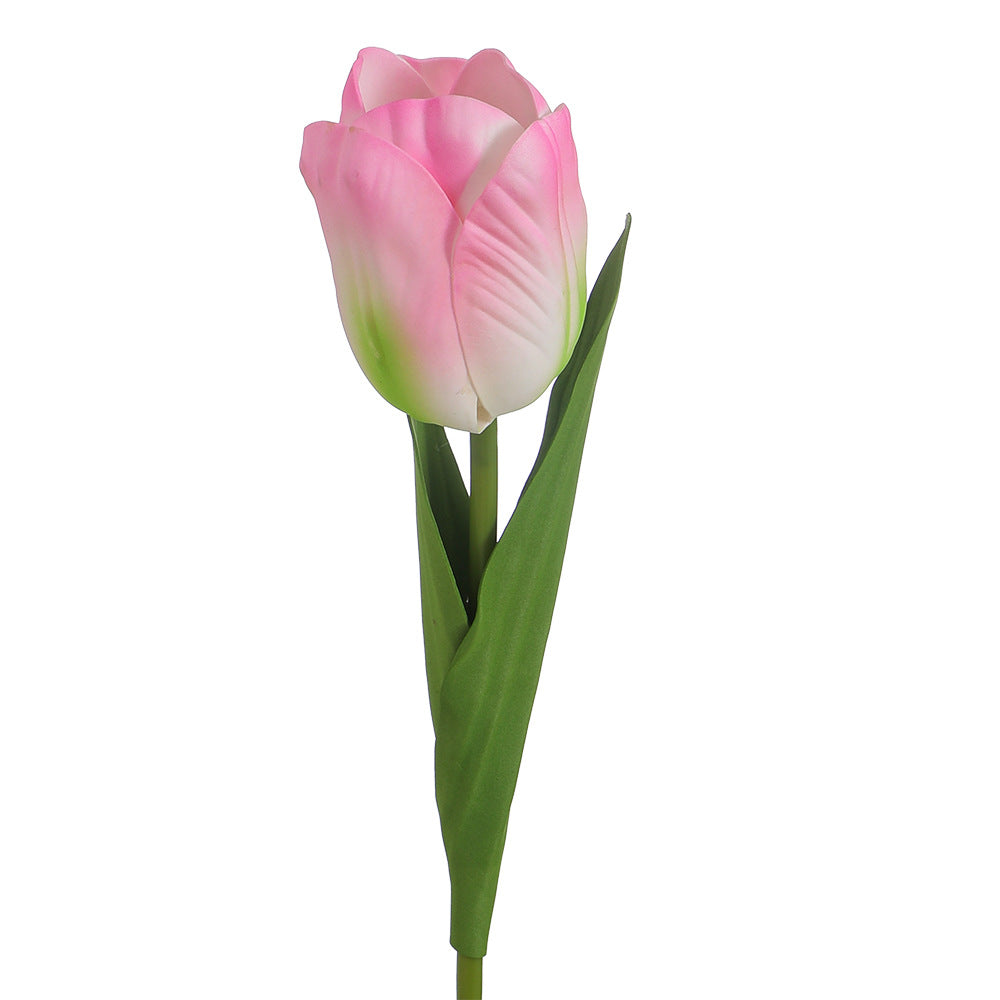 Decorative Art Tulip | Kelmera